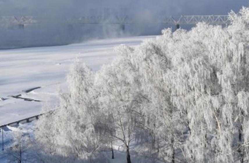 Вильфанд: в декабре температура выше нормы прогнозируется в шести регионах России