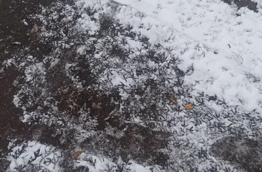 В первый день зимы Ивановскую область накроет пелена тумана