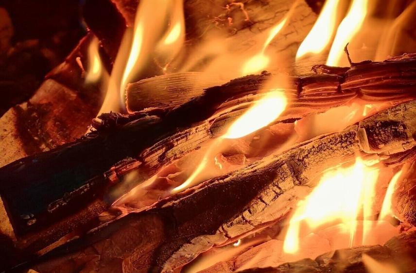 Пожар в СНТ «Орешек» во Всеволожском районе охватил три участка