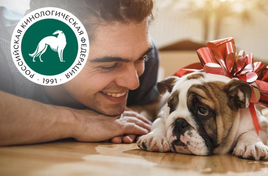 Международный день домашних животных. 5 научных причин завести собаку