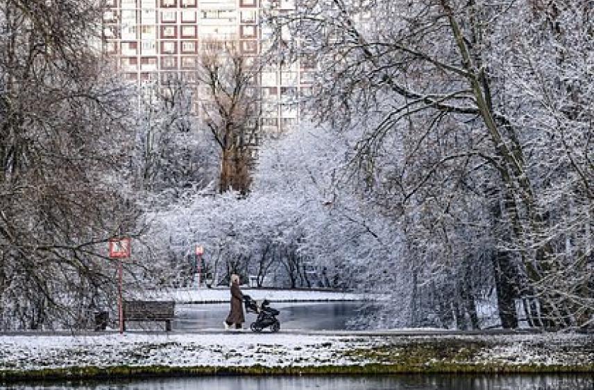 Москвичам пообещали очень теплый декабрь