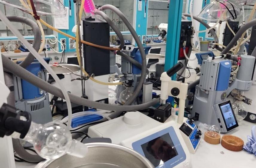 В Петербурге создали два новых сорта арахиса