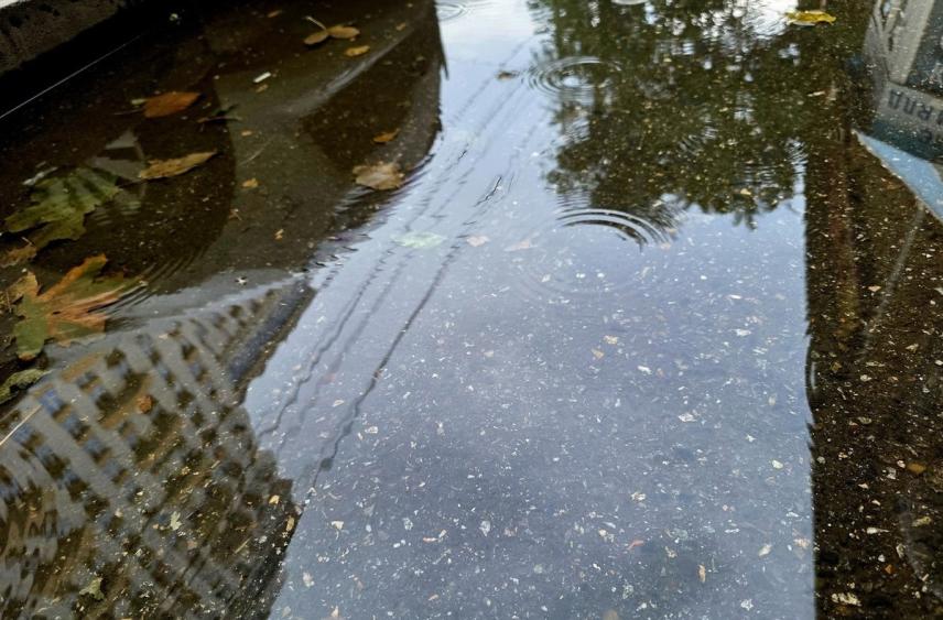 В первый день зимы на Кубани пойдёт дождь