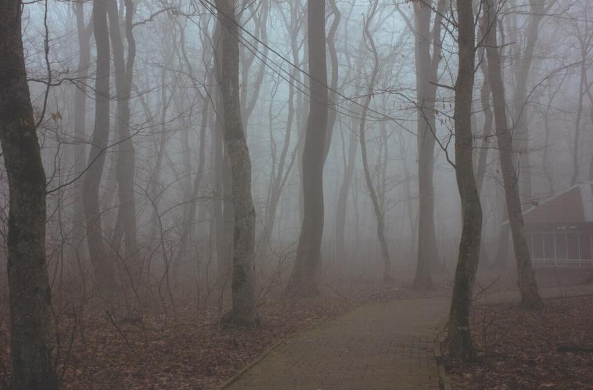 На дорогах Калининграда стало опаснее из-за утреннего тумана