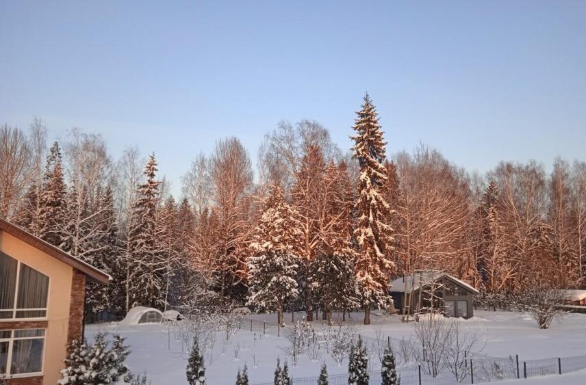 Вильфанд раскрыл, каким будет декабря на европейской территории России