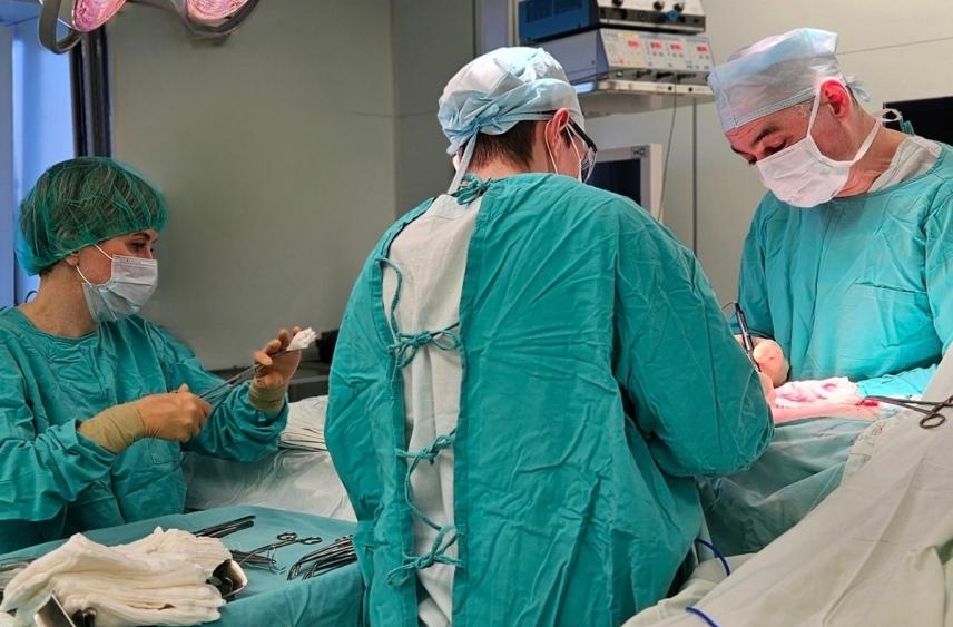 Высокотехнологичную медицинскую помощь получили 9150 северян в этом году