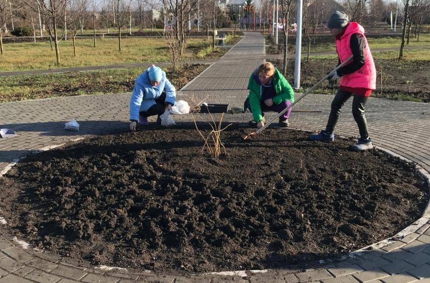 Красненский округ подвел итоги акции «Сохраним лес»