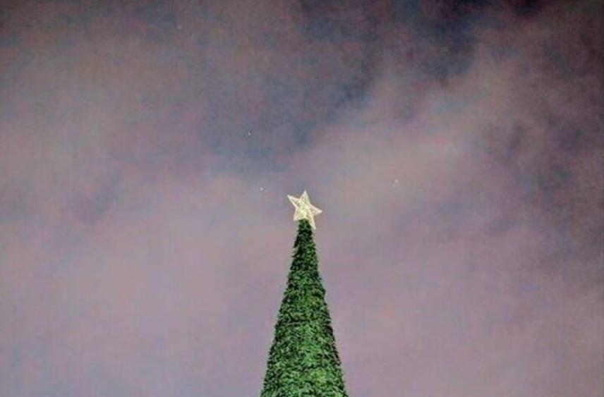 Жителей Отрадного пригласили 1 декабря зажечь огни на городской елке