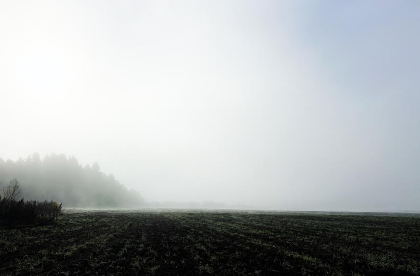 В Тверской области предупредили о густом тумане