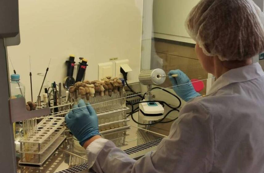 Десяти вологодским агропредприятиям возмещены затраты на обучение студентов-целевиков