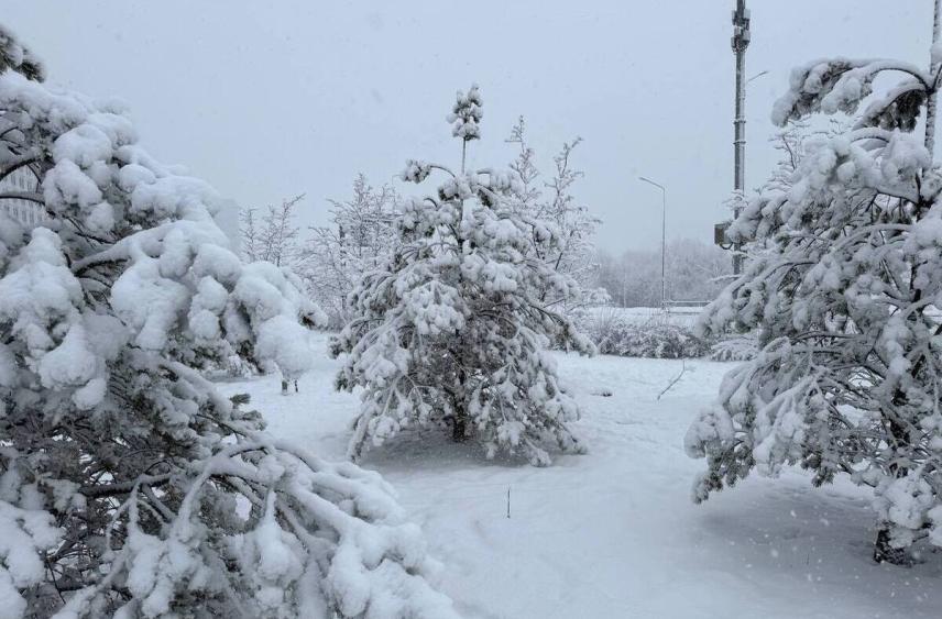 Зима в Костромской области начнется с аномального тепла