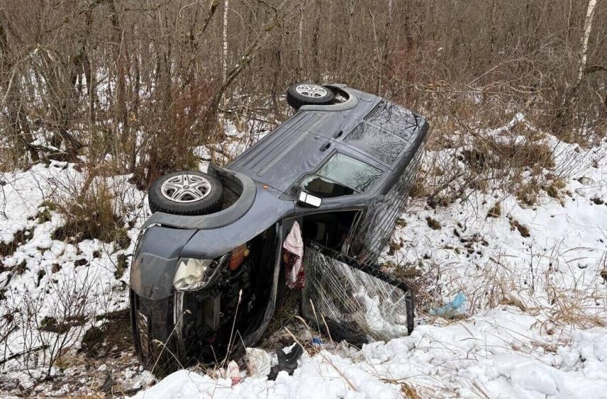 Водитель погиб после съезда иномарки в кювет в Батецком округе