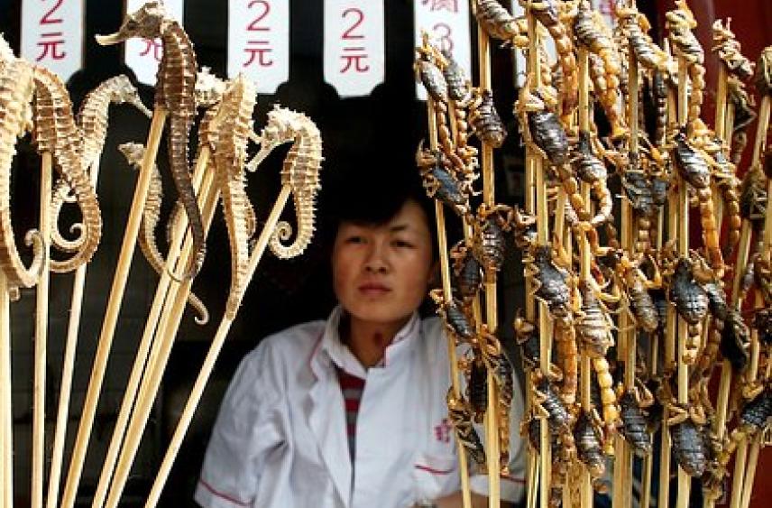 «Мне даже смотреть тошно». Какая еда шокирует российских туристов в США, Германии, Мексике и других странах?