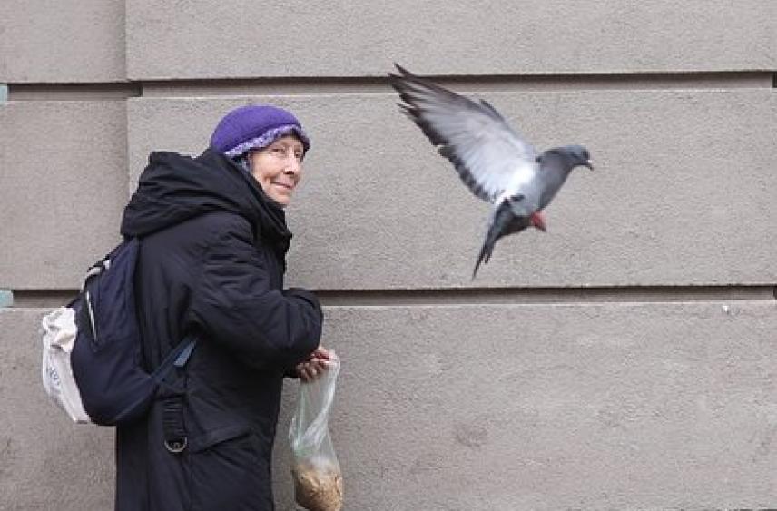 Назван размер средней пенсии в России в 2026 году