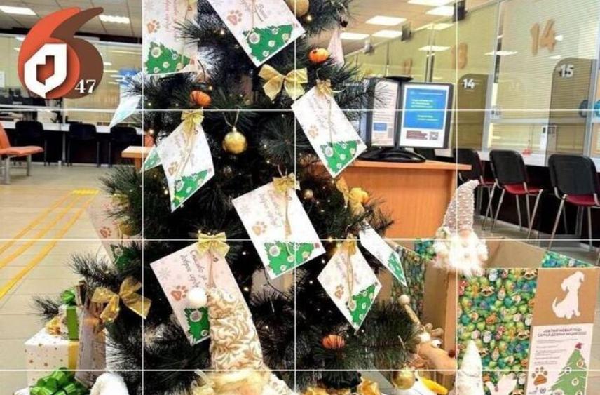 В МФЦ Ленобласти до 30 декабря будут собирать корм для животных