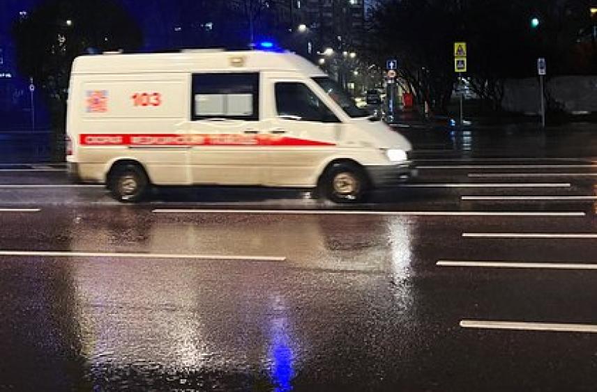 В Москве деревья рухнули на людей